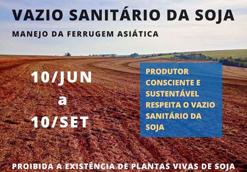  Vazio sanitário da soja começa em 10 de junho no Paraná