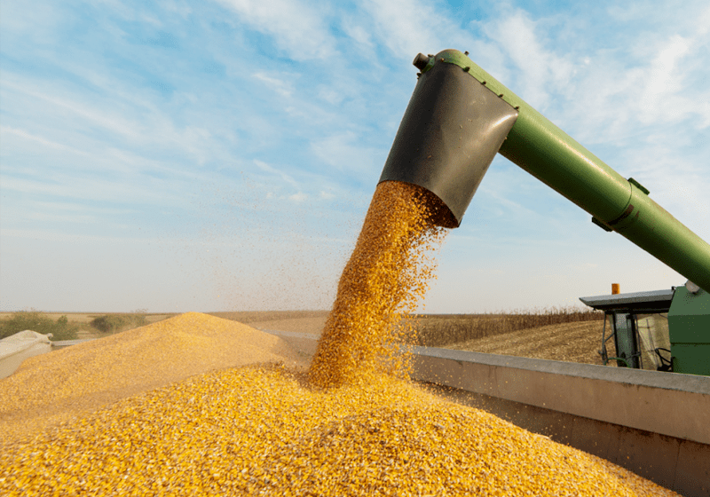  Produção de grãos pode chegar a recorde 308 milhões de toneladas, prevê Conab