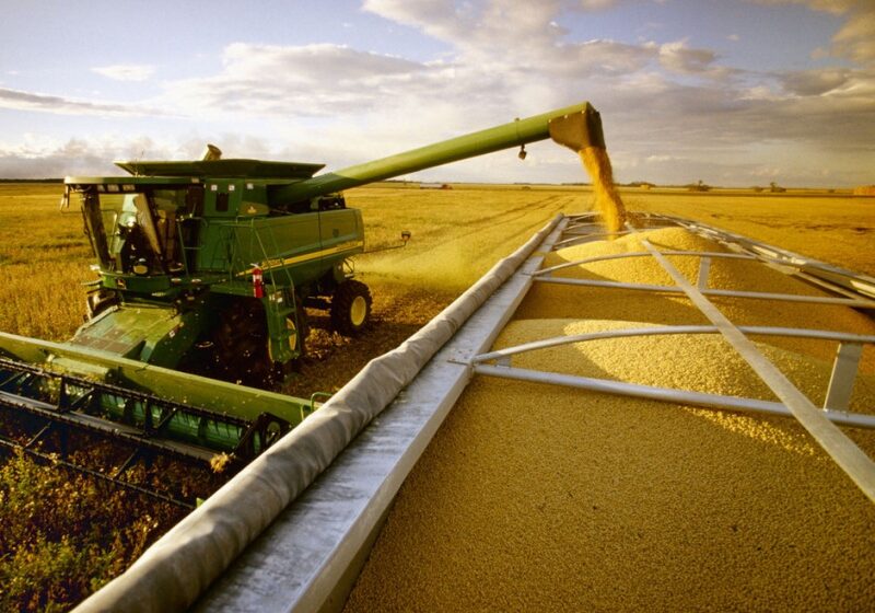  Exportação de soja brasileira pode bater recordes em 2023