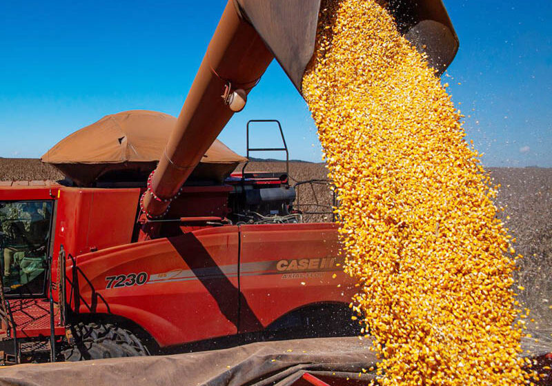  Em 12ª estimativa para safra 2021/22 de grãos, Conab mantém previsão de recorde