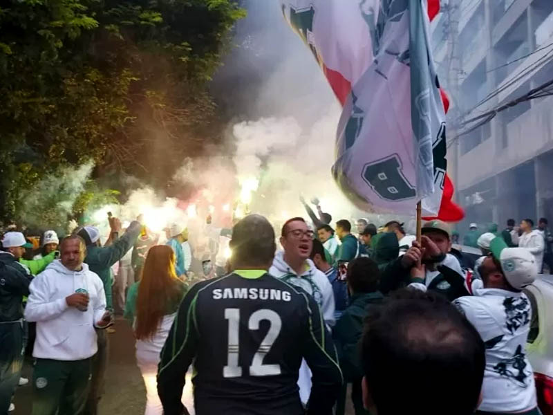 palmeiras