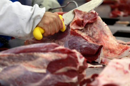 Exportações totais de carne bovina em setembro têm queda de 24% na receita