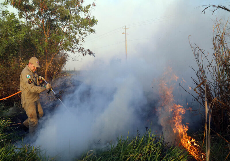 Estado Lança Campanha De Prevenção E Combate A Incêndios Florestais Hojepr 