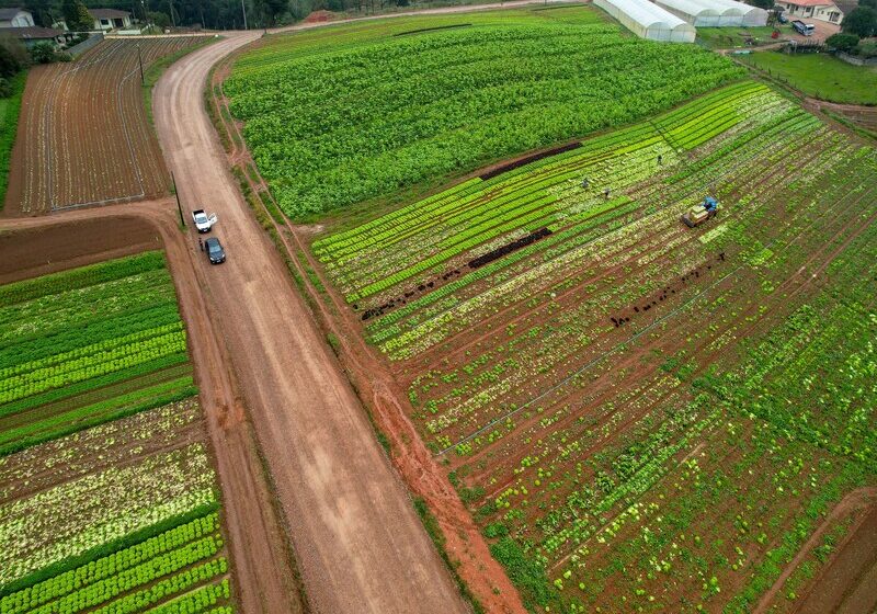  Estado vai investir R$ 30 milhões na agricultura e no turismo de São José dos Pinhais