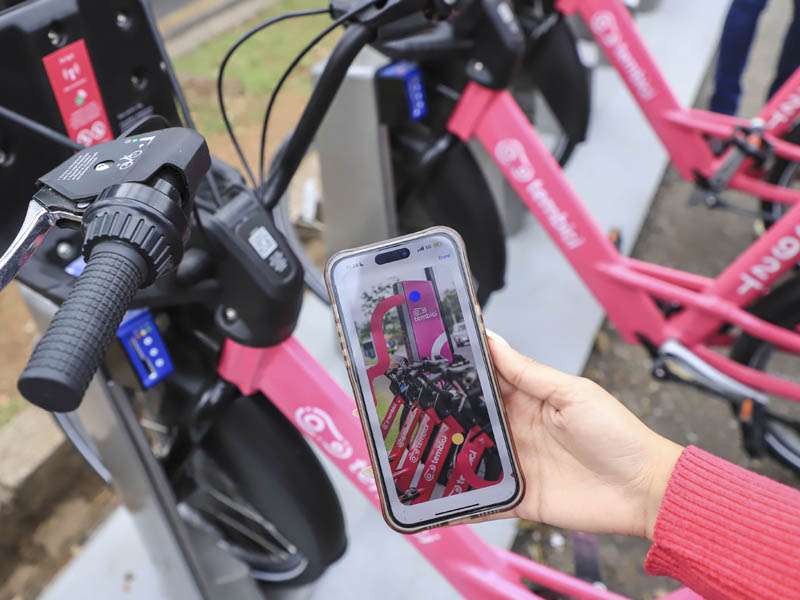 bicicletas