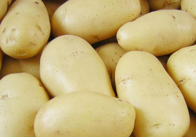  A guerra das batatas