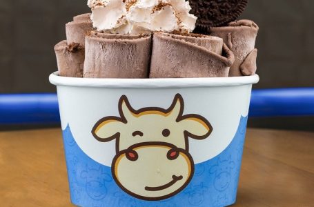 Gelateria Milk Creamery realiza ação promocional para dia do sorvete