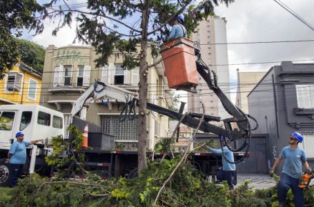 Tempestade afeta 13 bairros de Curitiba; previsão é de ventos fortes nesta terça-feira