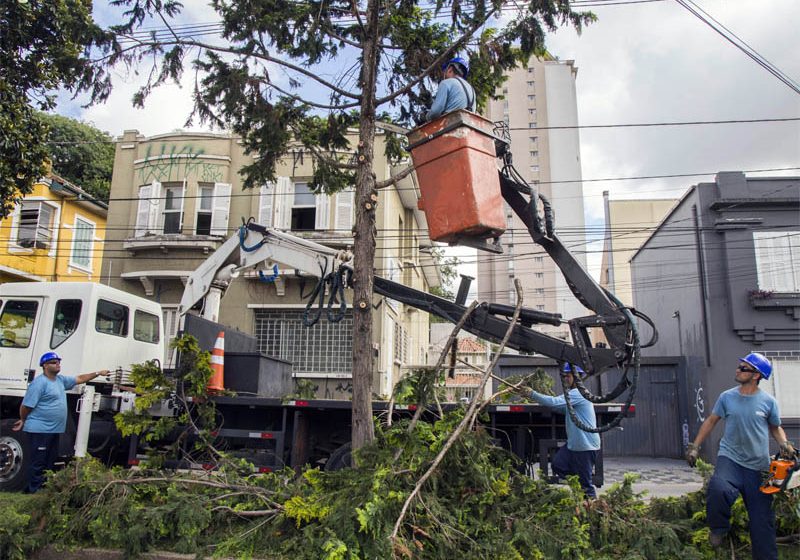  Tempestade afeta 13 bairros de Curitiba; previsão é de ventos fortes nesta terça-feira