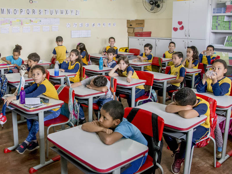 educação