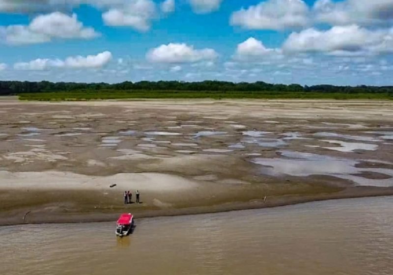  Satélites apontam que Amazonas tem a menor superfície de água em 5 anos