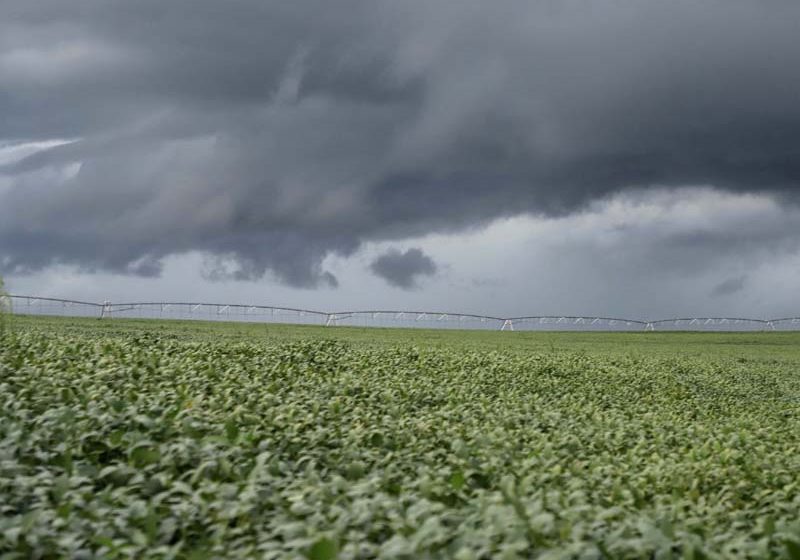  Chuvas acima das médias impactam produção agropecuária paranaense