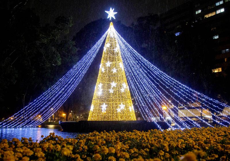  Curitiba já está iluminada de Natal e público pode aproveitar decorações pela cidade
