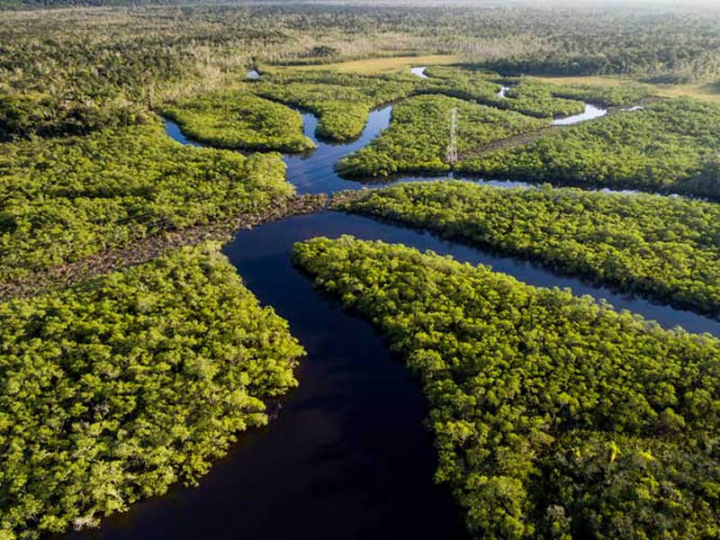 amazônia