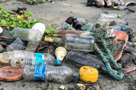 Plástico é vilão do meio ambiente, mas não tem substituto