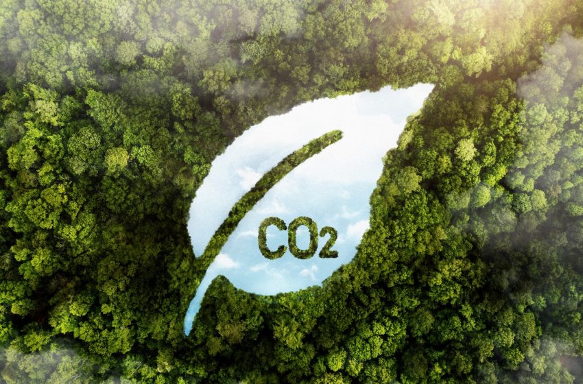  CBAM: o que a indústria deve saber sobre o Mecanismo Europeu de Ajuste de Carbono na Fronteira