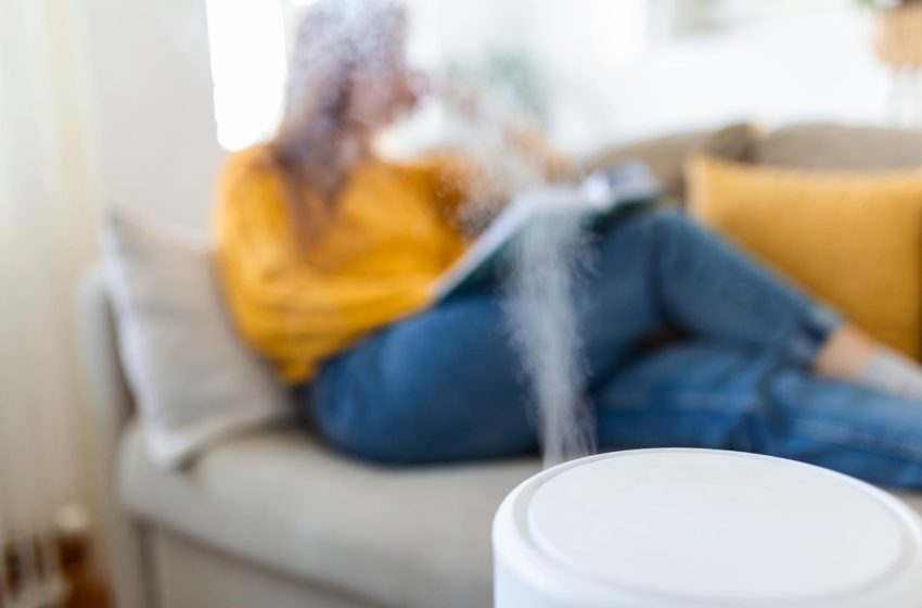  Alerta: umidificador de ar pode ser foco de dengue dentro de casa