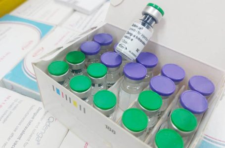 Governo distribui vacinas da dengue às Regionais de Saúde e promove instrução de aplicação