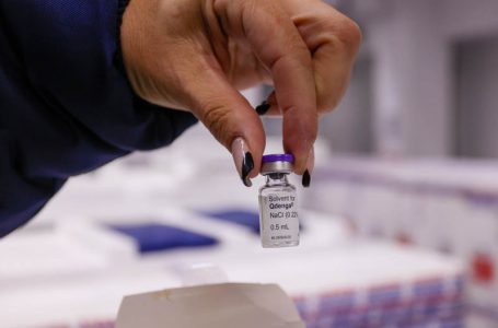 Baixa procura: Paraná amplia vacinação contra a dengue para 12 a 14 anos