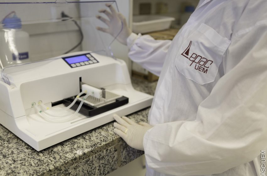  Lepac bate recorde de exames em 2024 e reforça ações da UEM contra a dengue