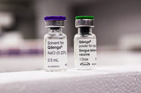 Paraná recebe novo lote de vacinas contra dengue para sete Regionais de Saúde