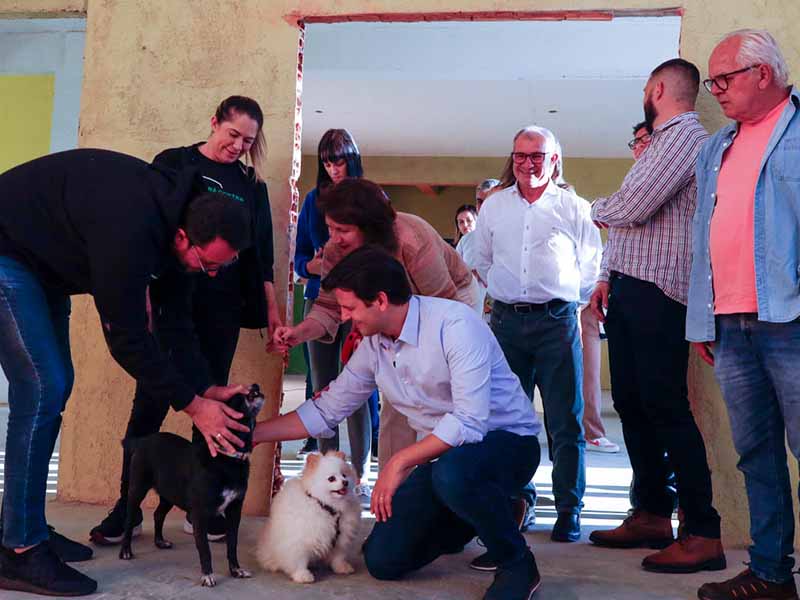 hospital veterinario de curitiba