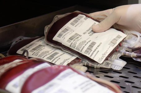 Com baixo estoque, Paraná solicita doação de sangue do tipo O+ e O-