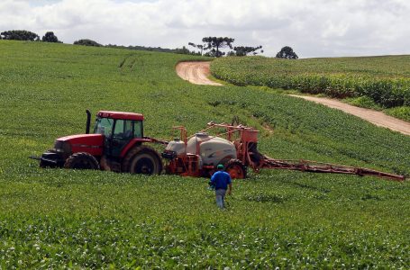 La Niña deve provocar períodos de estiagem no Sul do país e impactar na produção de soja