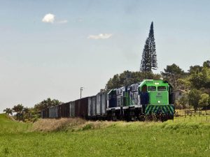 ferroeste