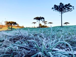 frio parana previsao do tempo hojepr