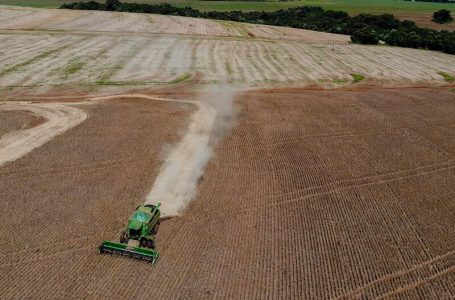 Perspectivas são boas para a primeira safra de verão no Paraná, afirma o Deral