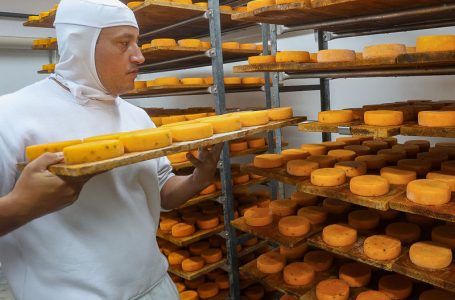 Industrialização e tecnologia no campo impulsionam a cadeia do leite no Paraná