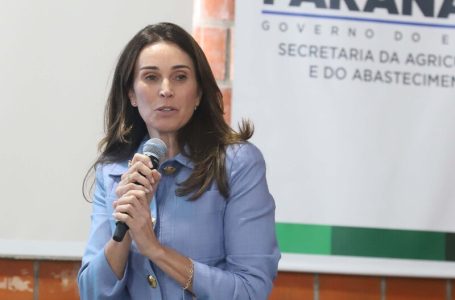 Cofundadora do Pacto Contra Fome elogia Banco de Alimentos do Paraná: “modelo espetacular”