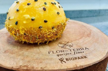 World Cheese Awards: queijo fino paranaense está entre os nove melhores do mundo