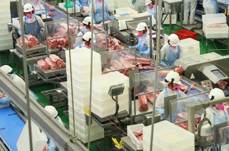 18 mil toneladas: Paraná bateu recorde em exportação de carne suína em setembro