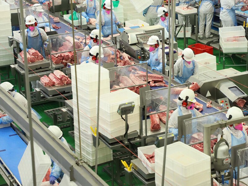 18 mil toneladas: Paraná bateu recorde em exportação de carne suína em setembro