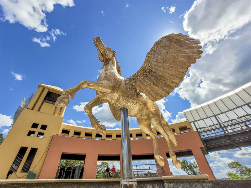 Maior escultura em bronze de Curitiba e espetáculo natalino estreiam hoje no Tanguá