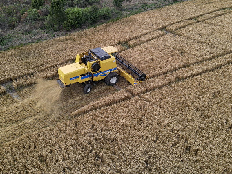 Programa de Subvenção ao Seguro Rural do Paraná terá R$ 10 milhões para a safra 2025