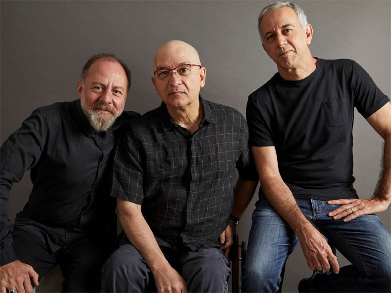 paralamas