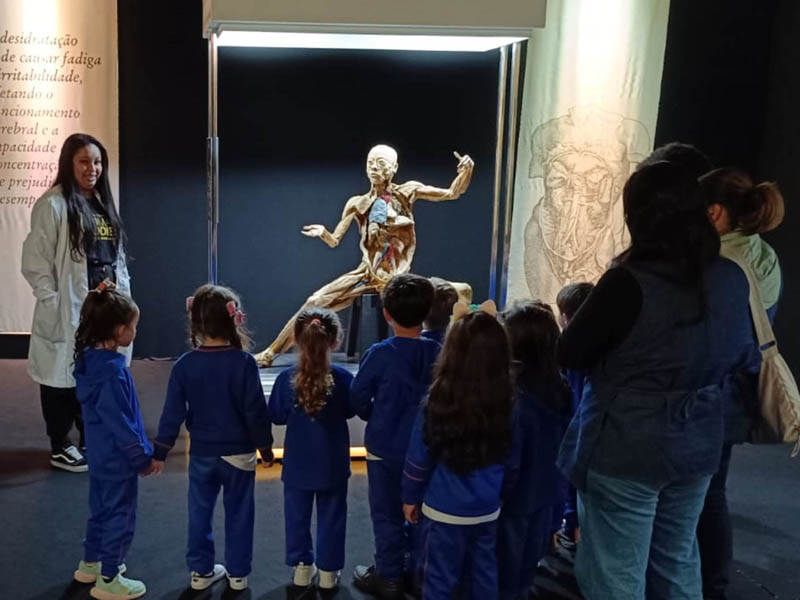 Human Bodies