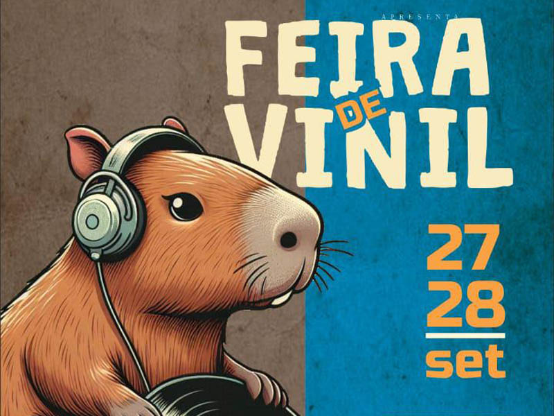 Feira de Vinil