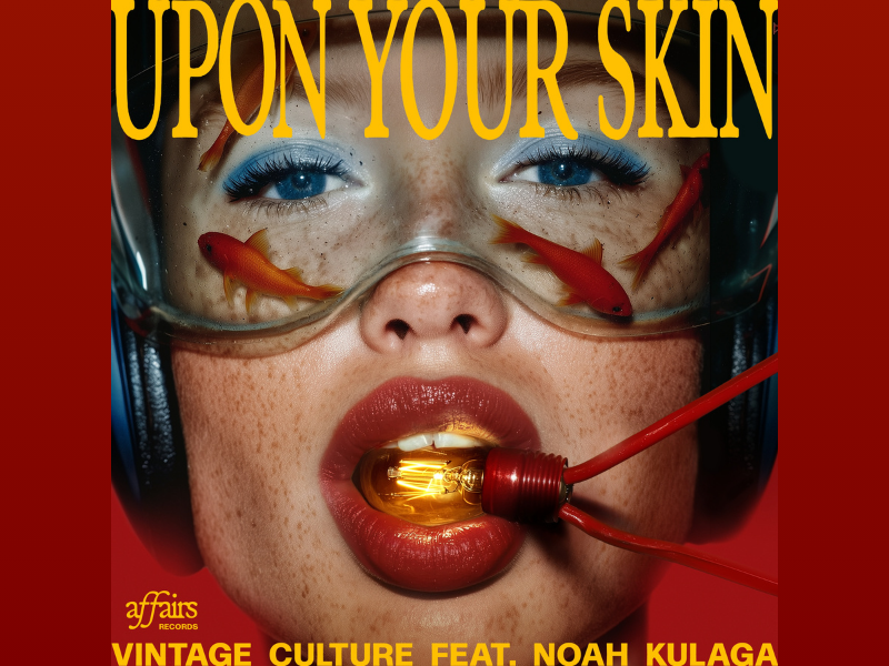 vintage culture