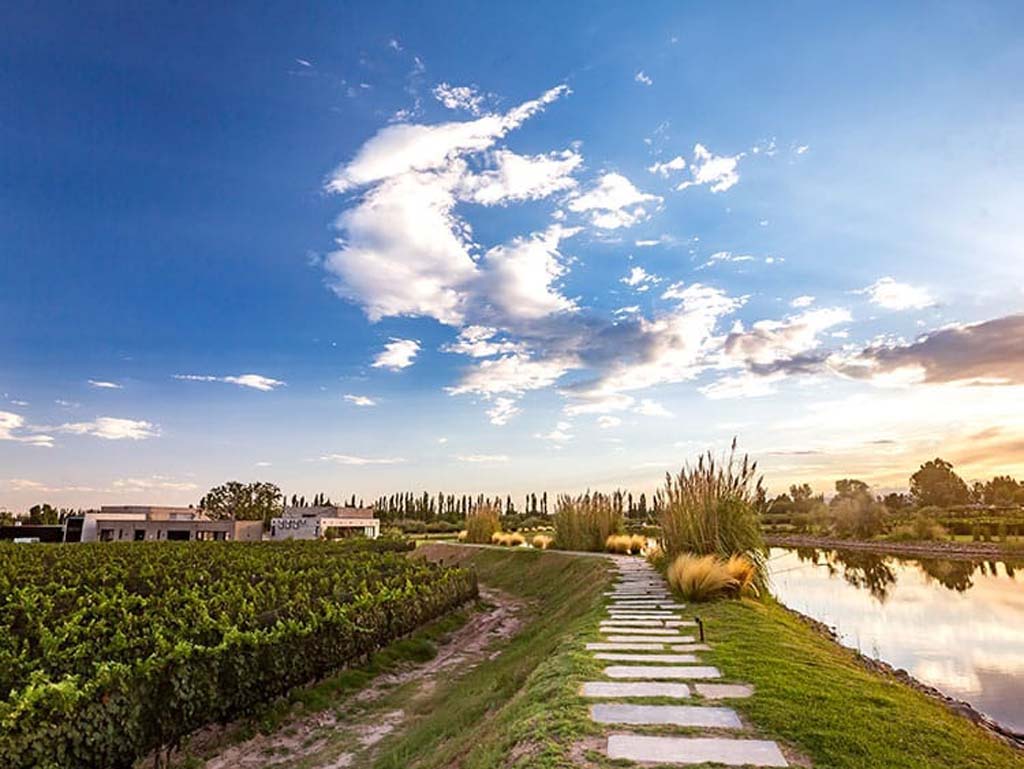 vinhos (4)