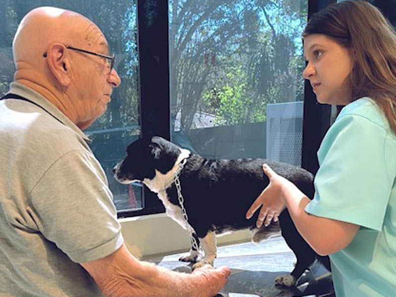 Hospital Veterinário