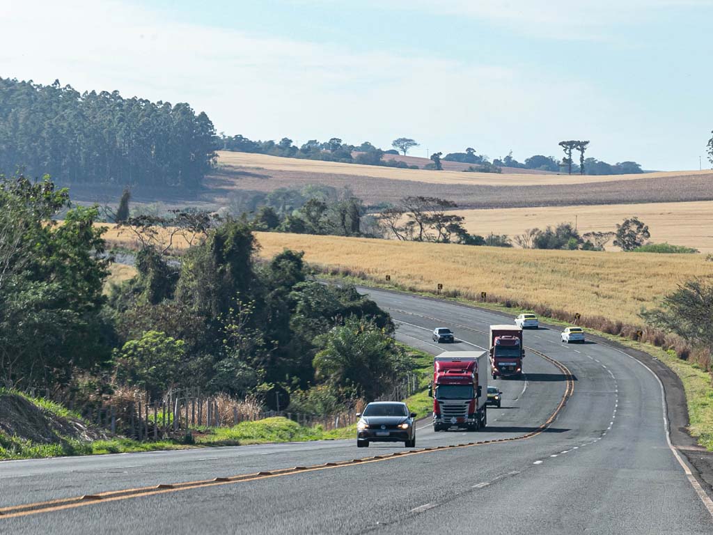 estradas transito