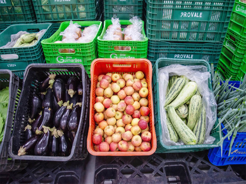 alimentos
