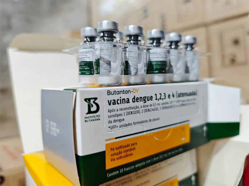 dengue