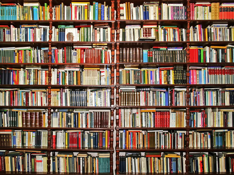 literatura