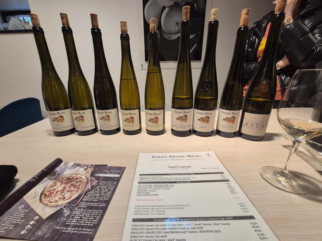 vinhos wine (3)
