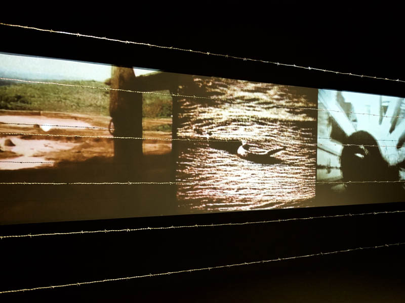 Exposição